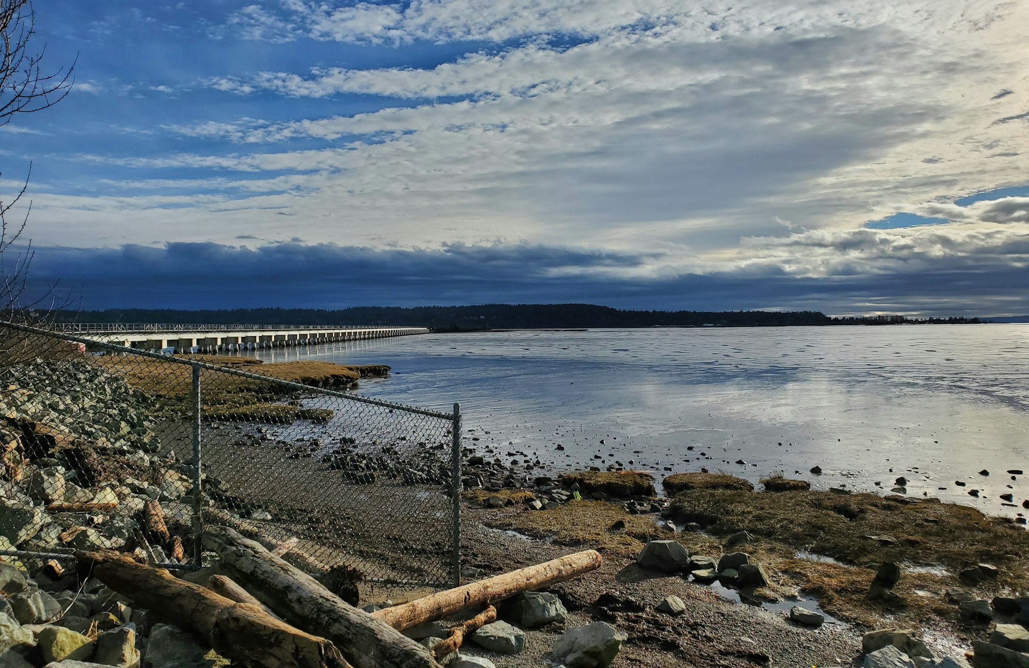 Boundary Bay shoreline in Delta