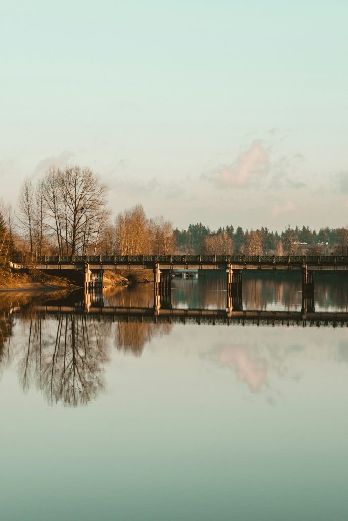 Riverbank trees near Fort Langley