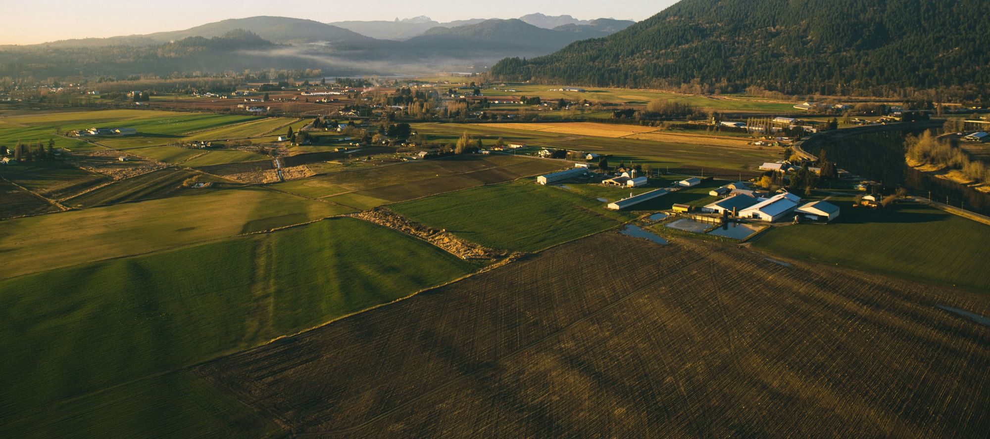 Farmland and mountains in Langley from the air