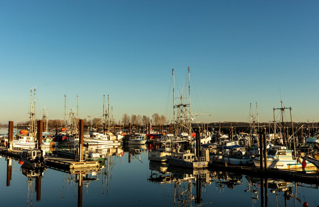 Fishing boats in the Steveston harbour in Richmond