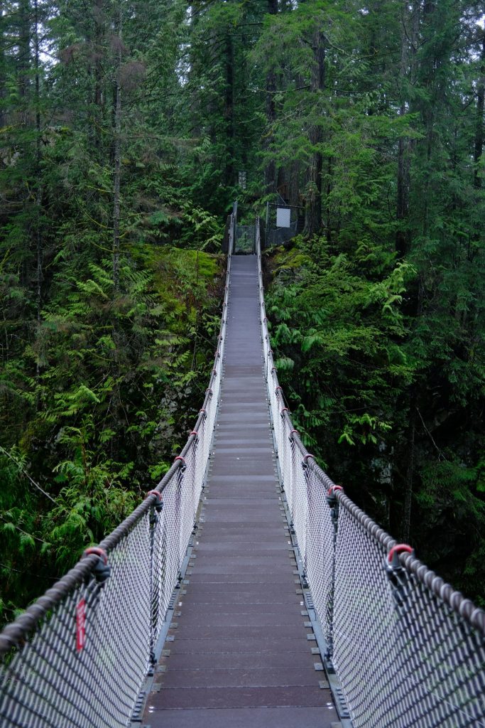 Suspension bridge through a green forest in North Vancouver
